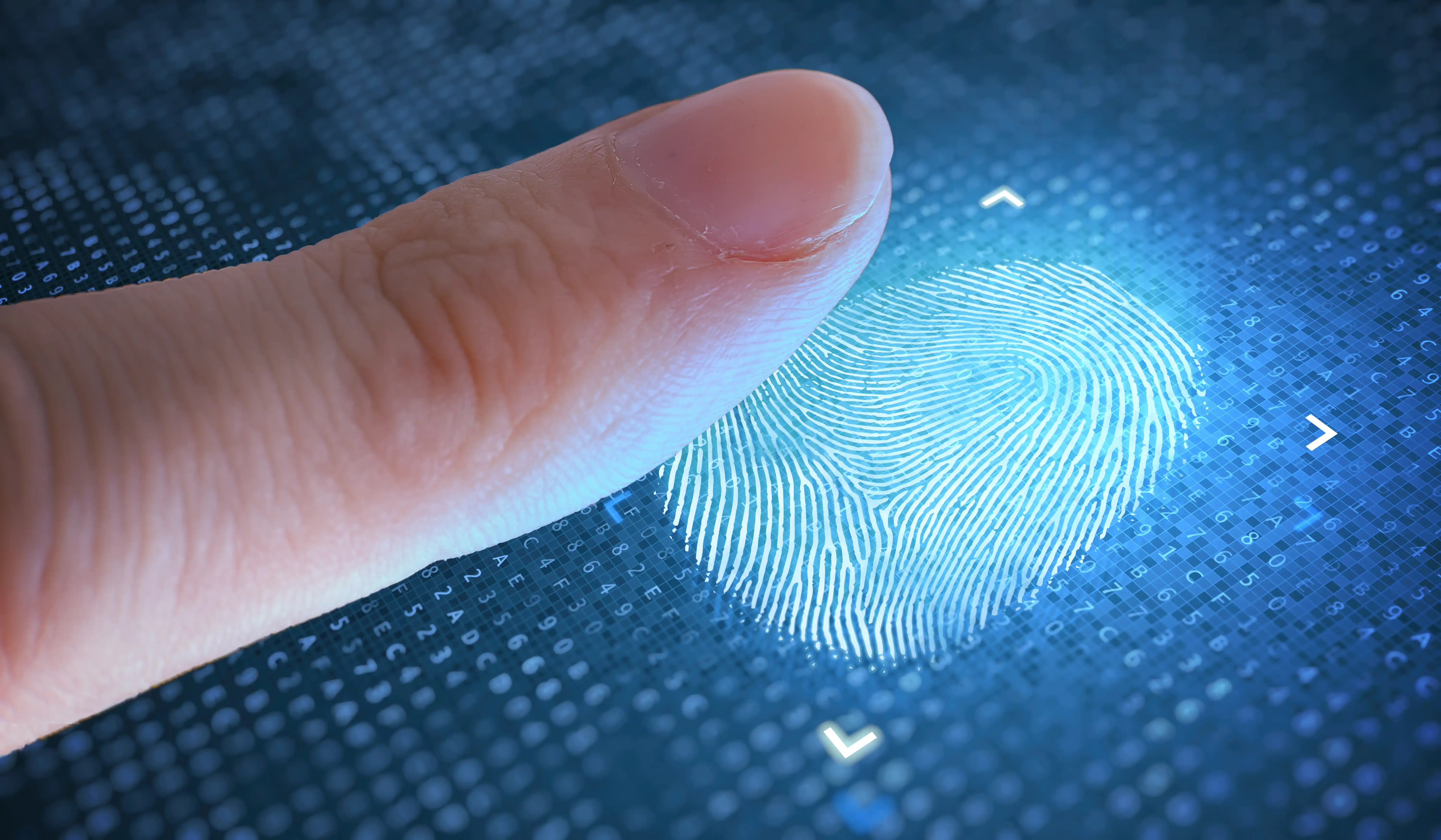 Fingerprint background